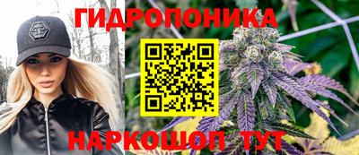 соль ск Кулебаки